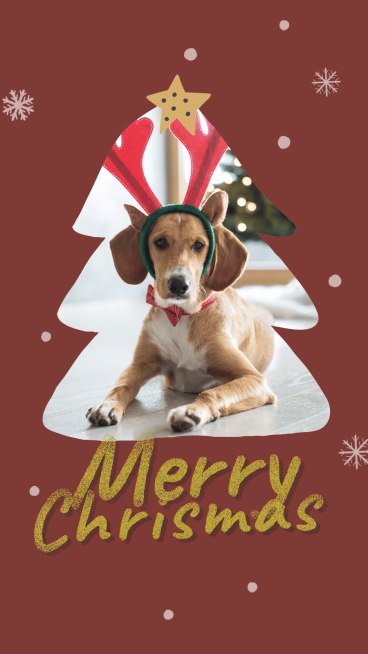 Creative Snowflake Element Christmas Tree Frame Pet Dog Instagram Story预览效果