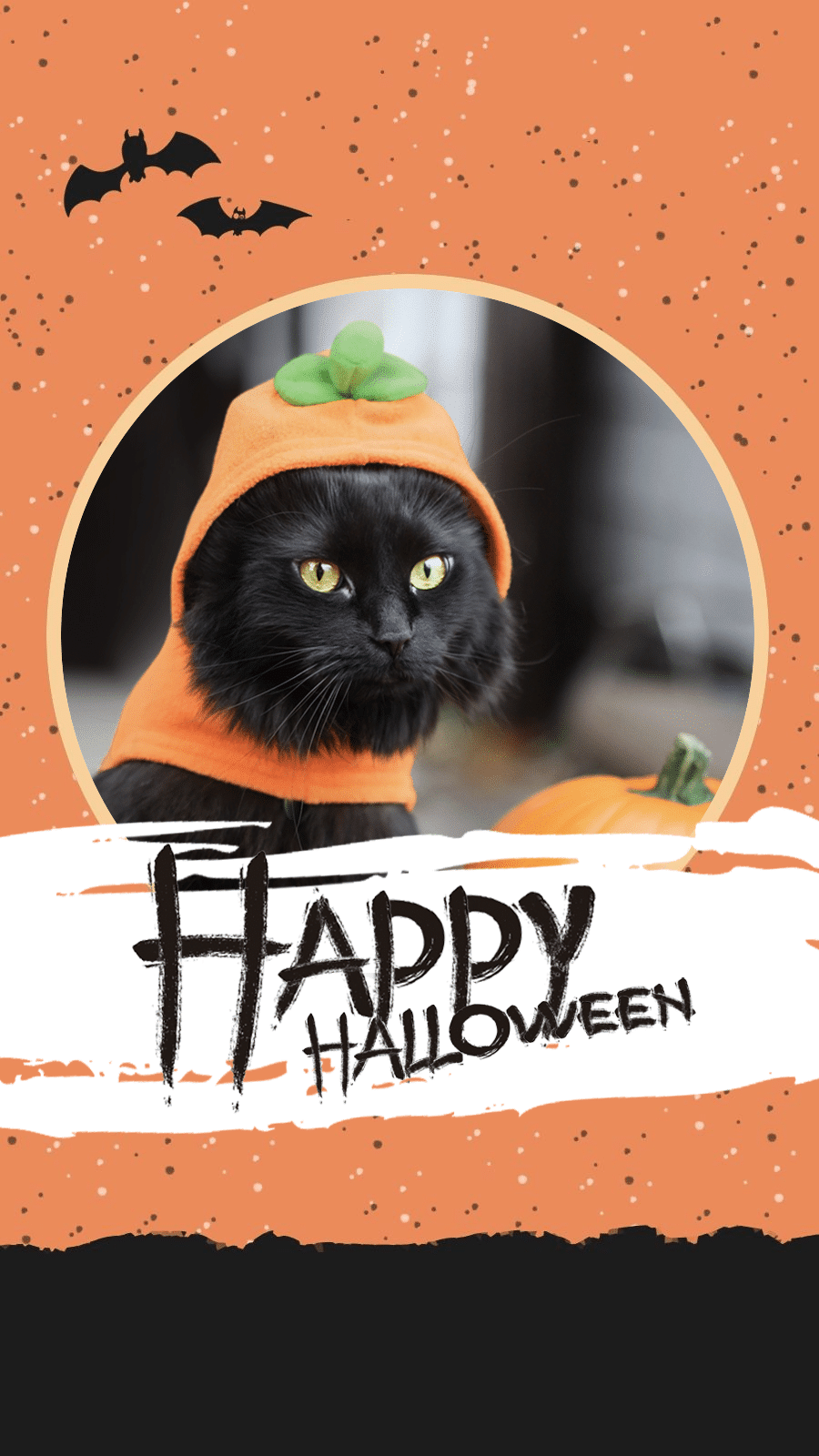 Literary Halloween Cat Display Instagram Story