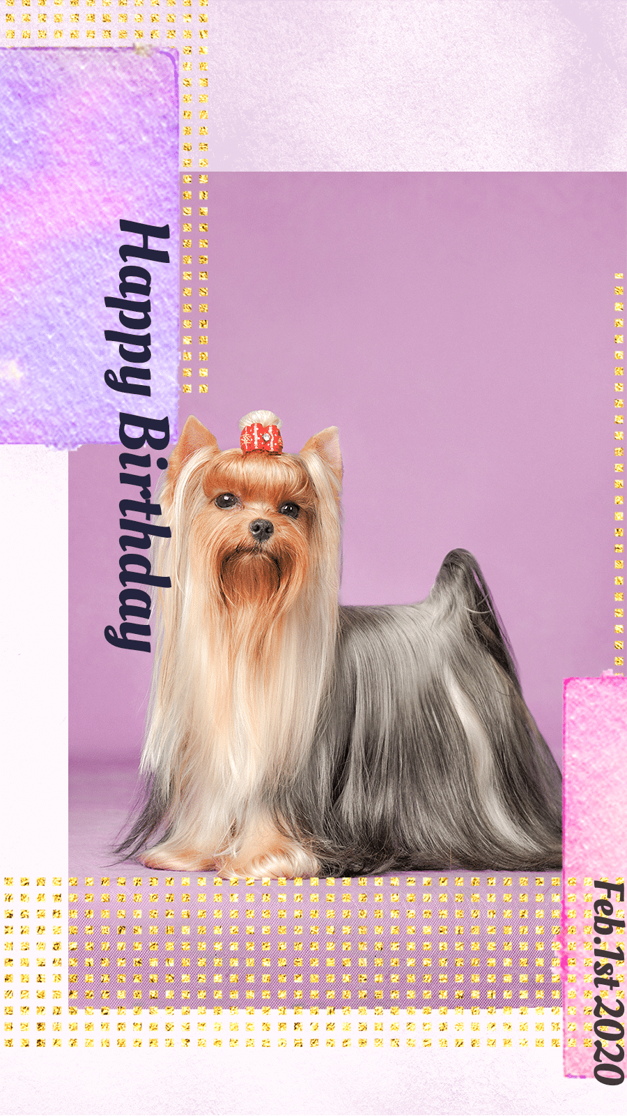 Literary Birthday Greeting Pet Dog Display Instagram Story预览效果
