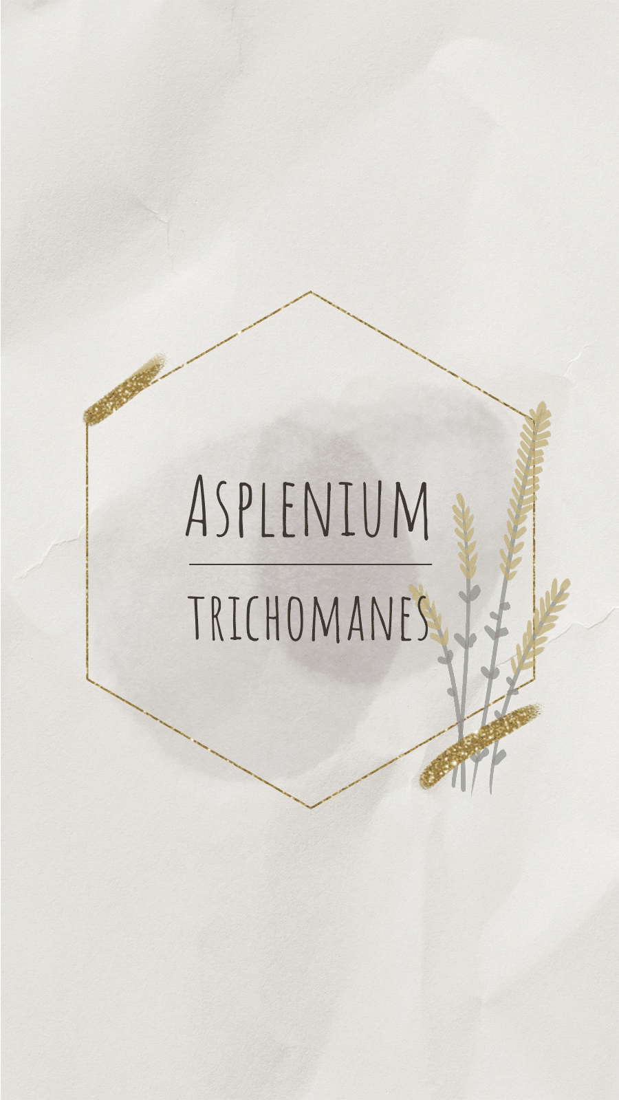 Literary Gold Hexagon Frame Text Instagram Highlight