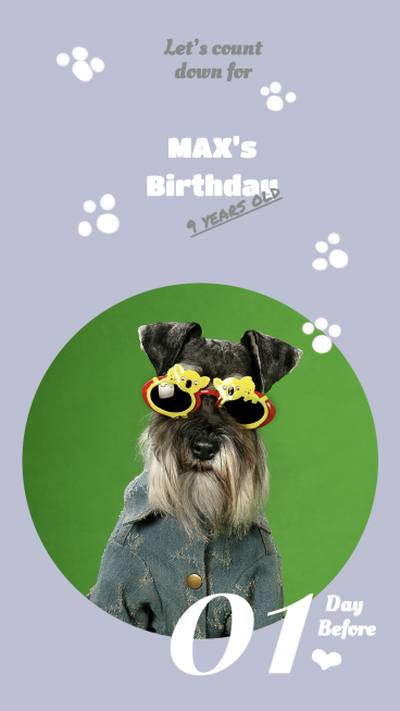 Fresh Pet Dog Birthday Count Down Display Instagram Story预览效果