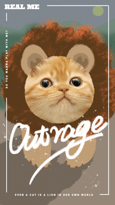Creative Pet Cat Display Instagram Story预览效果