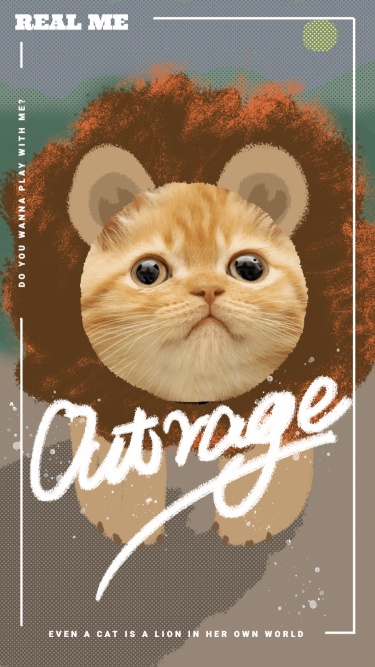 Creative Pet Cat Display Instagram Story
