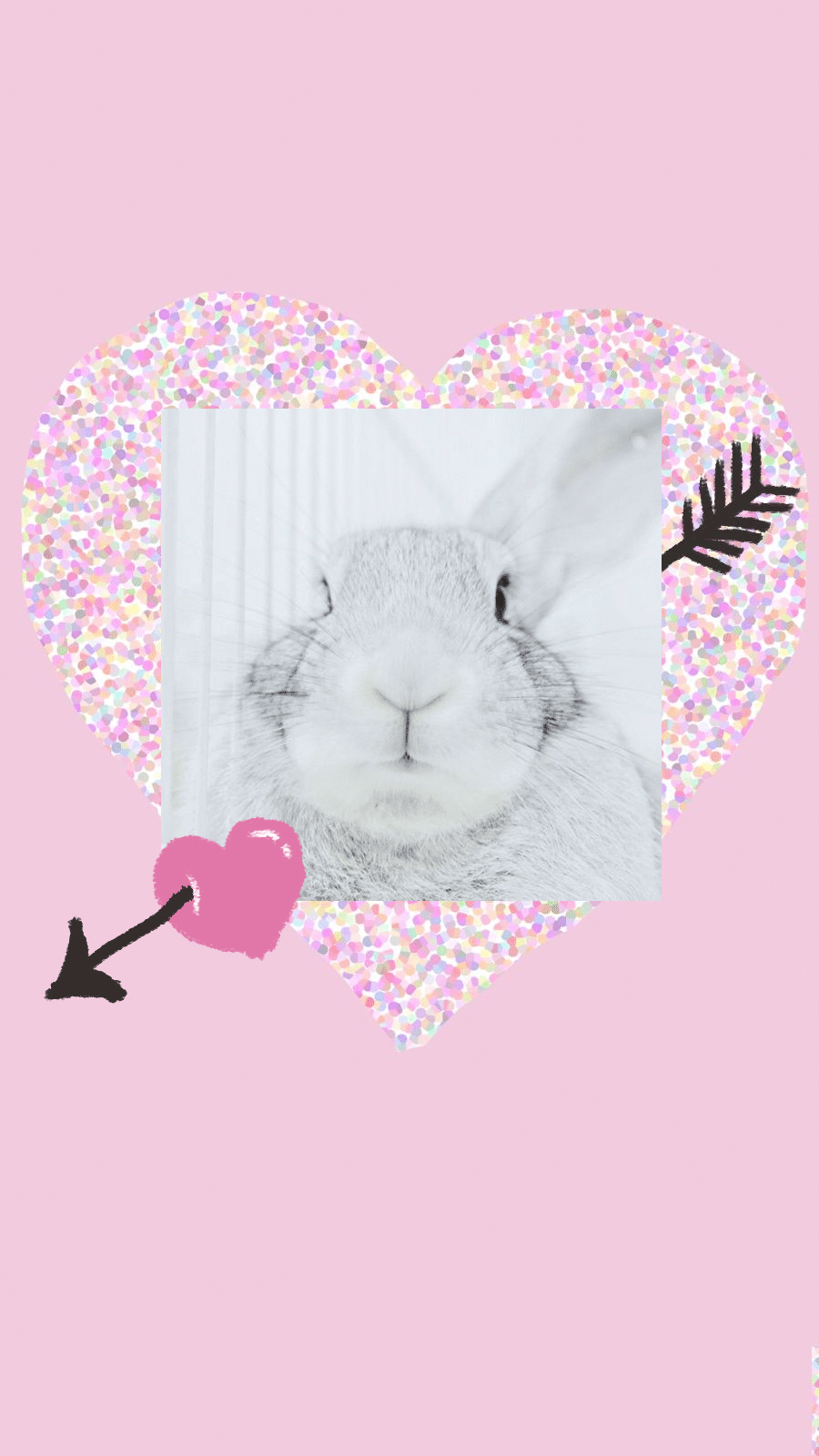 Pink Background Pet Photo Simple Style Instagram Story预览效果