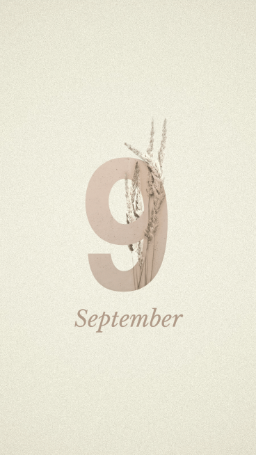 Pure Color Background Wheats Decoration Art Number Simple Fashion Style Instagram Highlight预览效果
