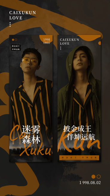 明星爱豆应援线条竖版海报预览效果