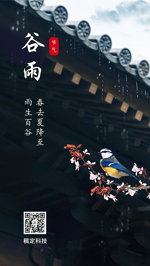 谷雨节气实景手机海报