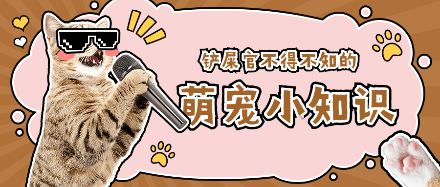 铲屎官萌宠小知识公众号首图预览效果