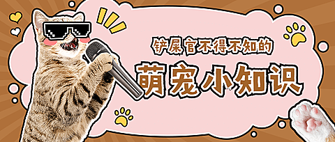 铲屎官萌宠小知识公众号首图