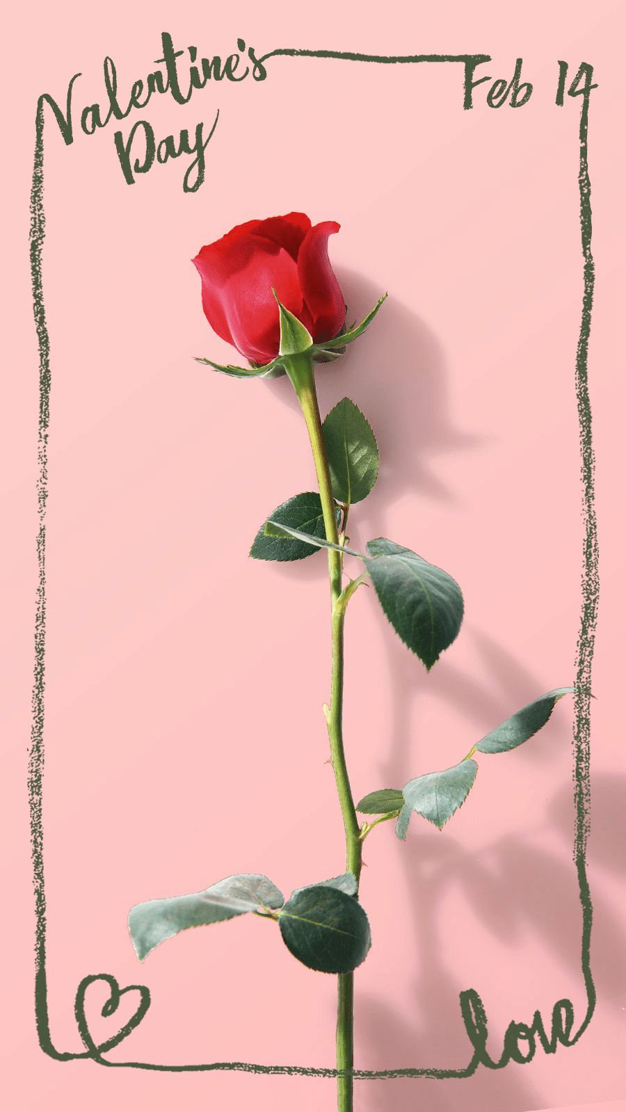 Rose Photo Valentine's Day Festival Promotion Simple Art Style Ecommerce Story预览效果