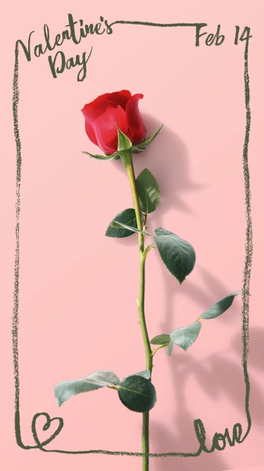 Rose Photo Valentine's Day Festival Promotion Simple Art Style Ecommerce Story