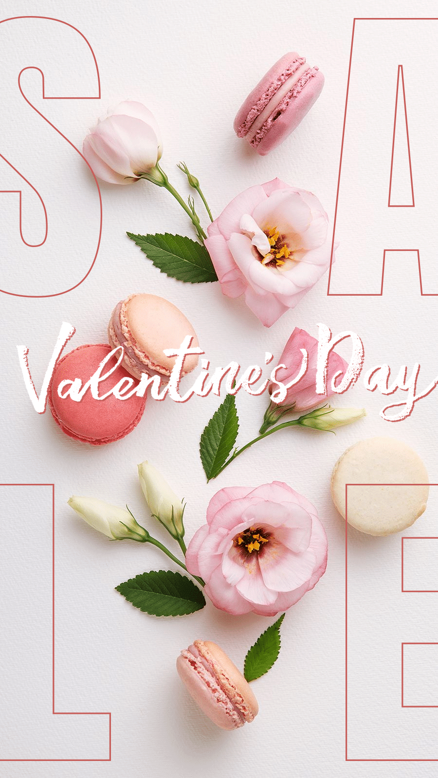 Valentine's Day Pink Theme Macaroon and Flowers Sale Ecommerce Story预览效果