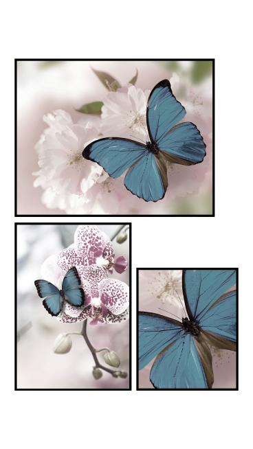 Female Butterflies Photos Romantic Art Simple Style Polaroid Simulation Instagram Story预览效果