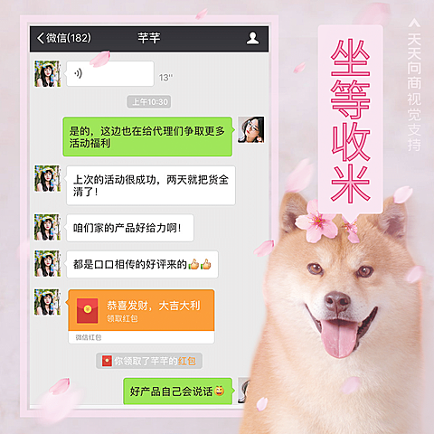 萌宠柴犬花式晒单方形海报