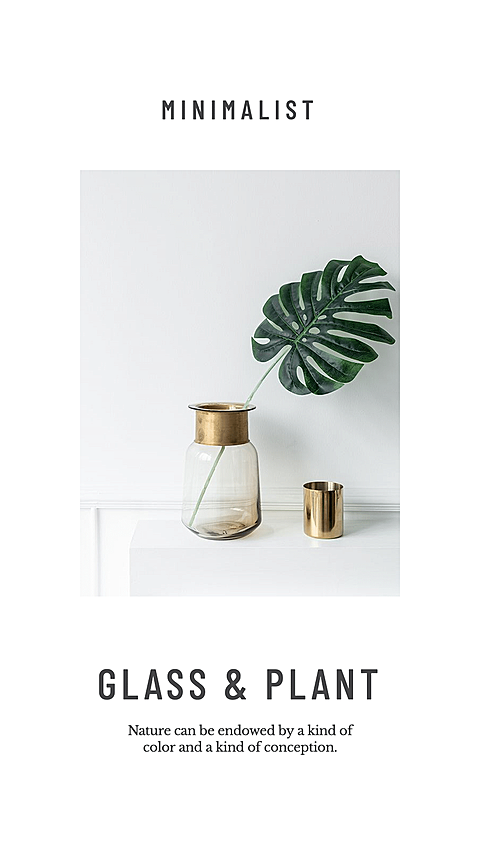 White Background Crafts Plants Picture Simple Fashion Cool Style Products Promotion Instagram Highlight