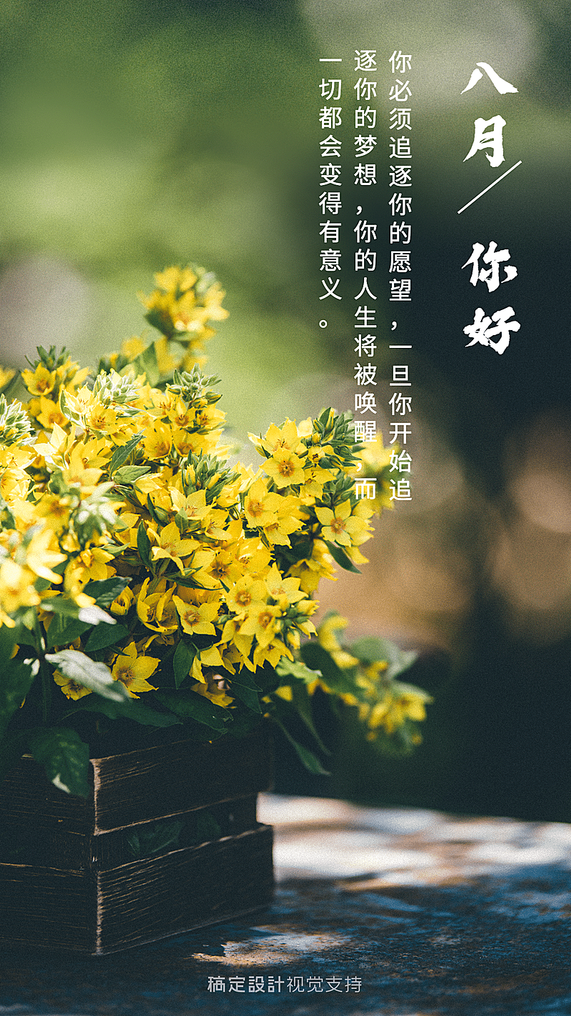 通用八月你好月初问候文艺手机海报