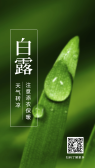 模板缩略图