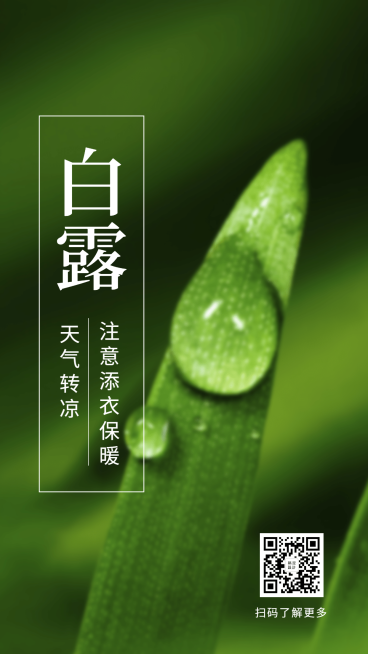白露二十四节气实景手机海报预览效果