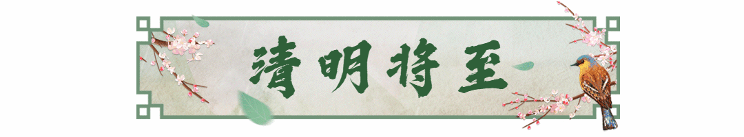 清明节花鸟中国风古风动态分割线预览效果