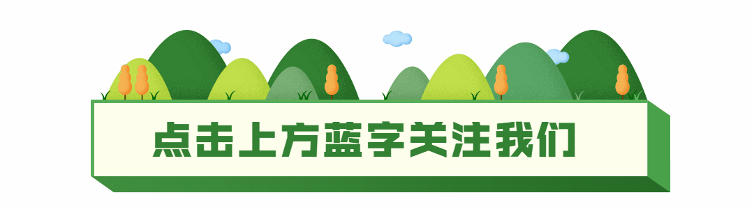清明节植物立体春天动态引导关注预览效果