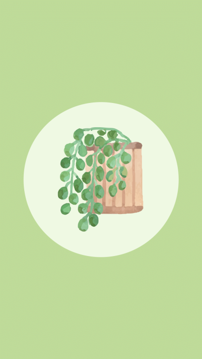 Plant Simple Green Design Instagram Highlight