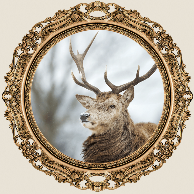 Light Pink Background Mirror Deer Fashion Simple Style Poster Instagram Post预览效果