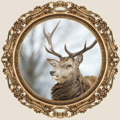 Light Pink Background Mirror Deer Fashion Simple Style Poster Instagram Post