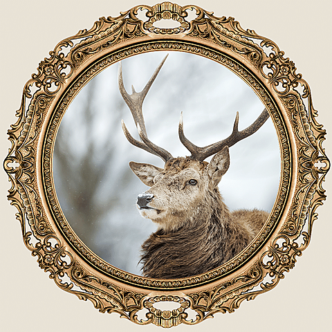 Light Pink Background Mirror Deer Fashion Simple Style Poster Instagram Post