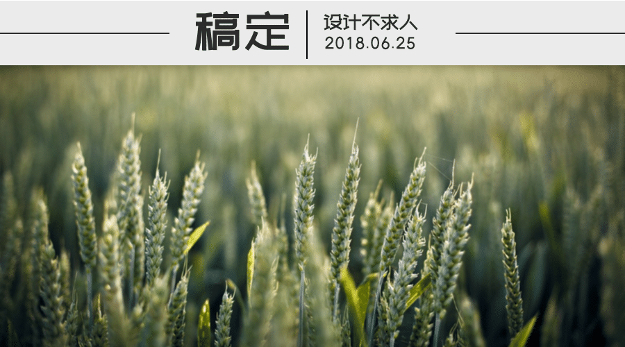 稿定设计不求人横版海报预览效果