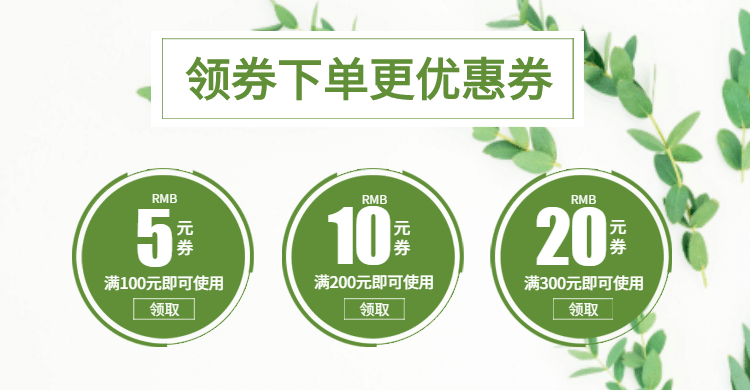 绿色优惠券预览效果