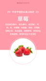 模板缩略图