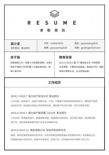 表格置业顾问简历（专业资深）预览效果