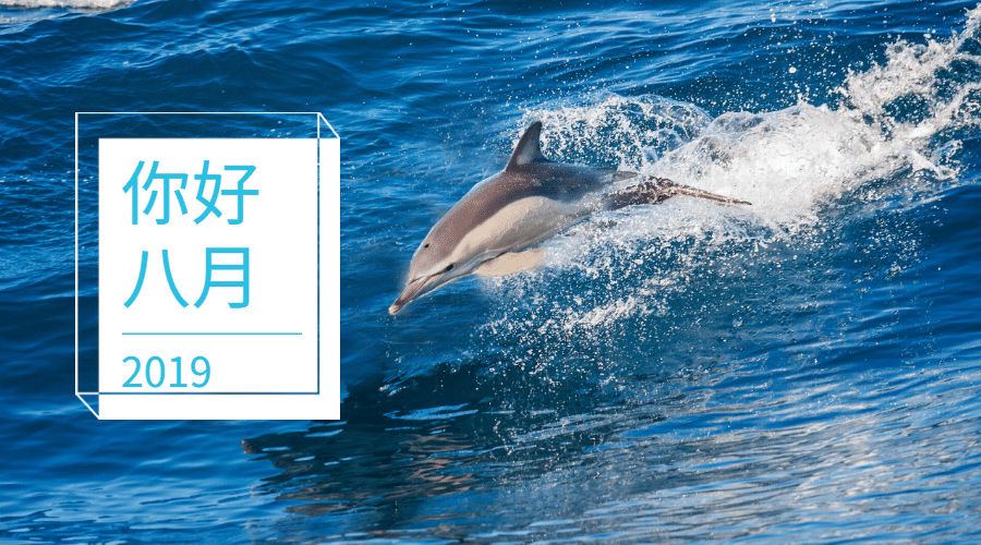 通用八月你好月初问候实景横版海报预览效果