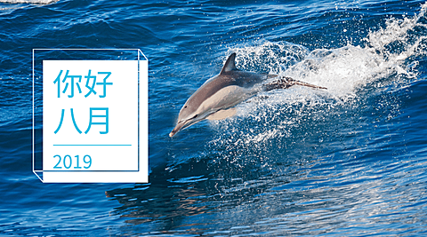 通用八月你好月初问候实景横版海报