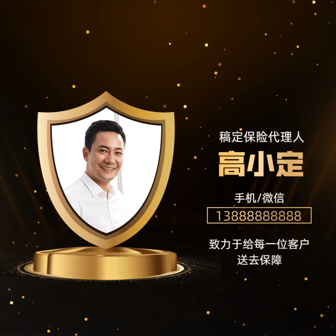 金融保险专业保险代理人黑金商务朋友圈封面预览效果