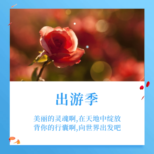 向世界出发吧社交封面预览效果