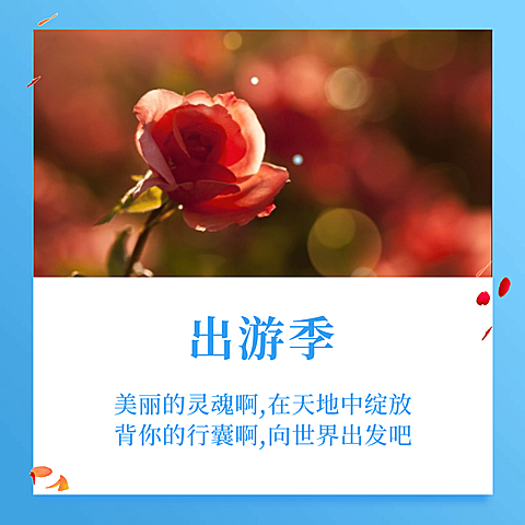 向世界出发吧社交封面