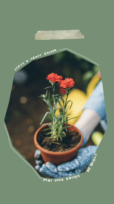 Dark Green Background Special Frame Flower Fashion Simple Style Poster Instagram Story