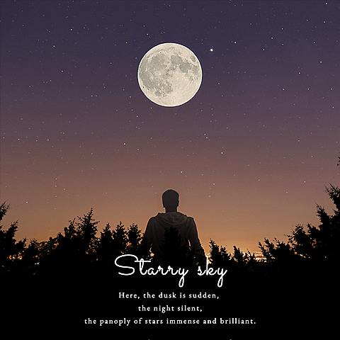 Real Scene Soul Soother Art Fashion Simple Style Poster Instagram Post
