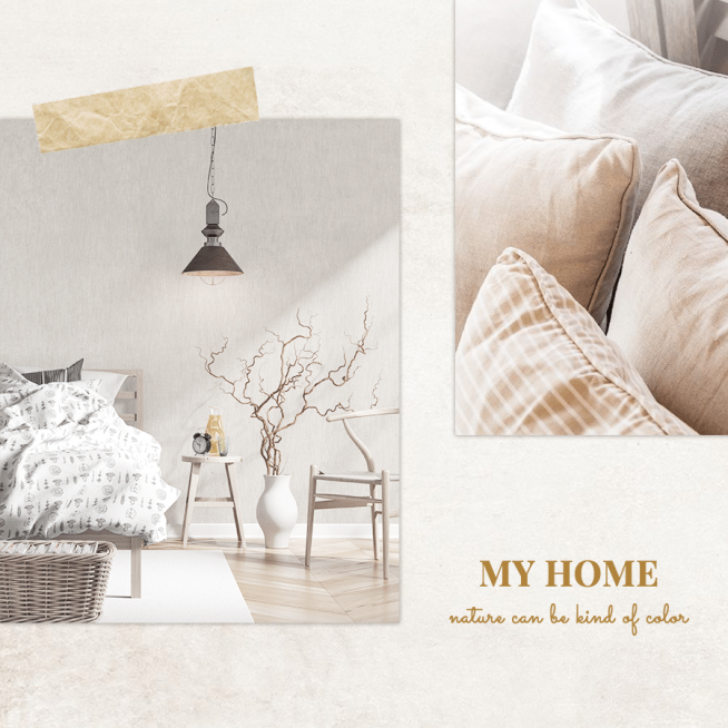 Literary Home Decor Polaroid Display Instagram Post预览效果