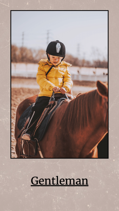 Special Frame Gentleman Riding Picture Simple Fashion Style Instagram Story