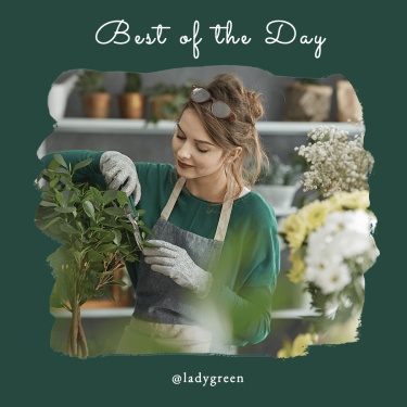 Deep Green Personal Woman Photo Fashion Simple Style Poster Tear Paper Instagram Post