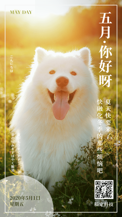 通用5月你好月初问候可爱手机海报