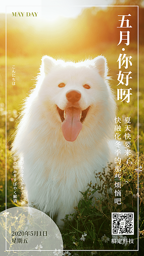 通用5月你好月初问候可爱手机海报
