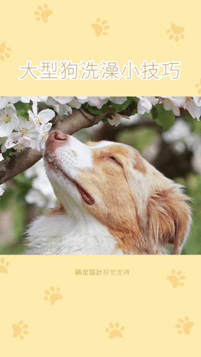 抖音种草生活技巧分享素材