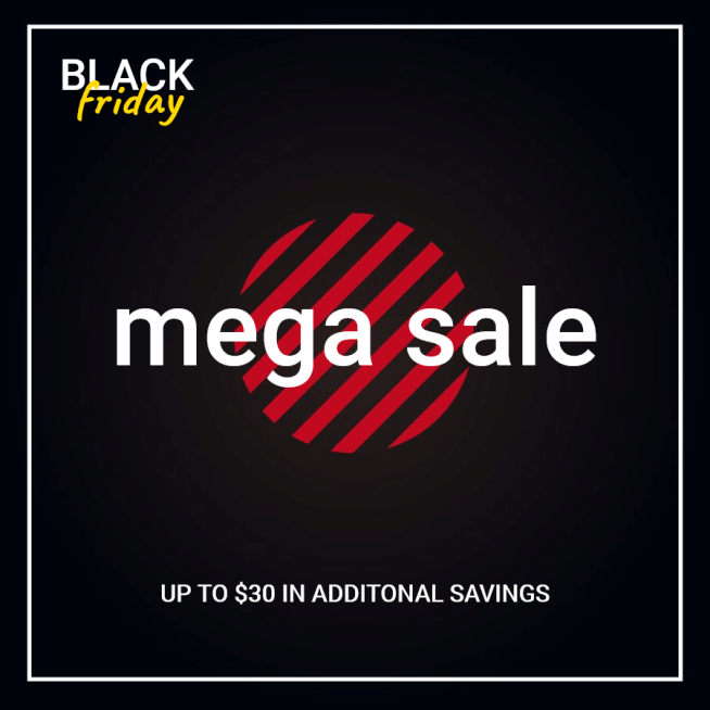 Black Friday Promotion Clothing Bags Sale Retro Simple Fashion Style Film Simulation Poster Instagram Post预览效果