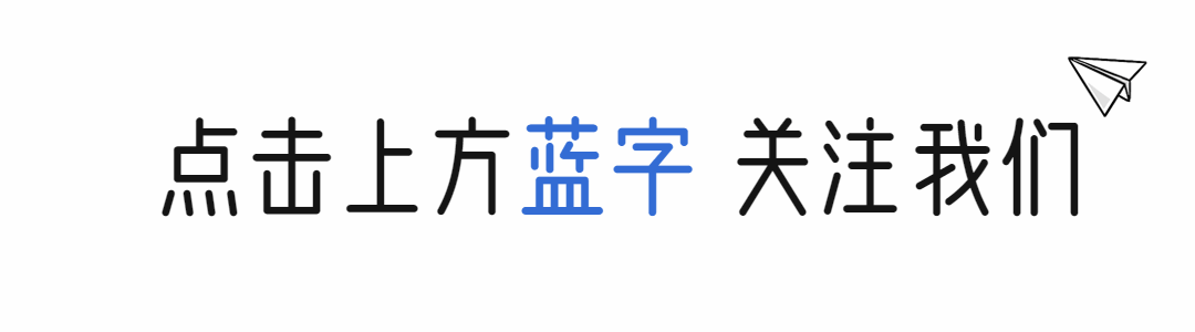 纸飞机简单文艺动态分割线预览效果