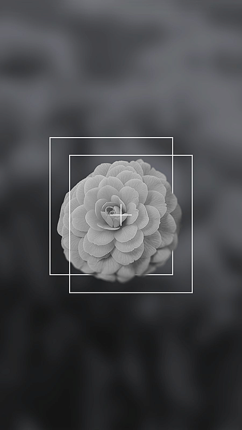 Literary Monochrome detail Display Rectangle Frame Instagram Highlight