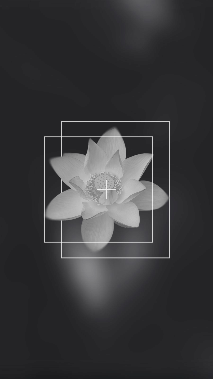 Filter Element Minimal Monochrome Flower Instagram Highlight