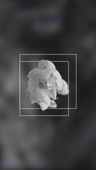 Minimalist Geometry Frame Black Filter Flower Instagram Highlight